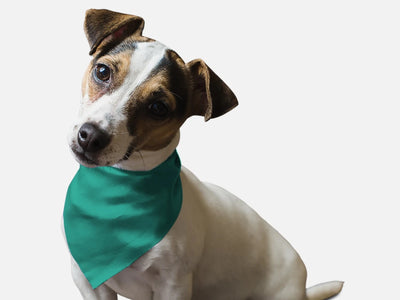 Seriously Sea Foam Dog Bandana - Pets Perfect