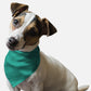 Seriously Sea Foam Dog Bandana