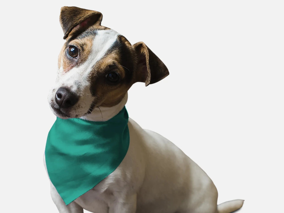 Seriously Sea Foam Dog Bandana - Pets Perfect