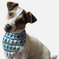 Peek-A-Bone Dog Bandana by BanDoggie
