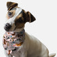 BanDoggie Play Time Dog Bandana - Soft Microfiber, Made in USA