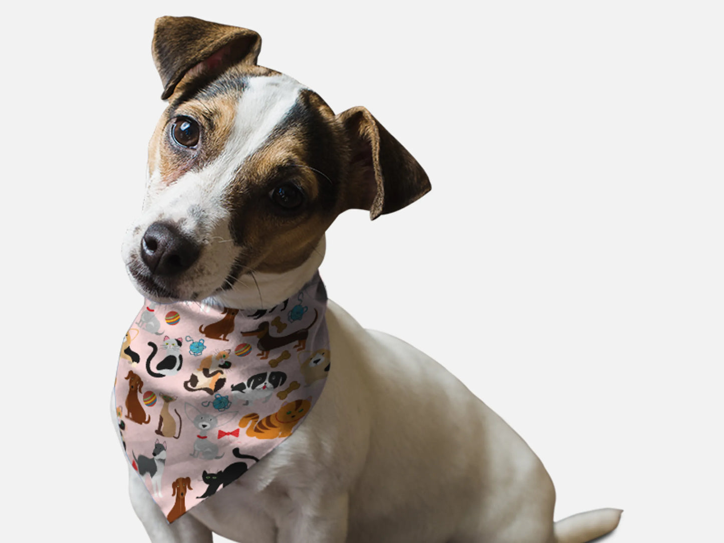 BanDoggie Play Time Dog Bandana - Soft Microfiber, Made in USA