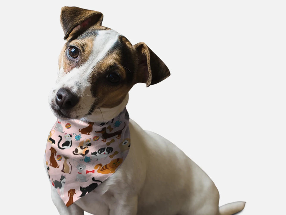 BanDoggie Play Time Dog Bandana - Soft Microfiber, Made in USA - Pets Perfect