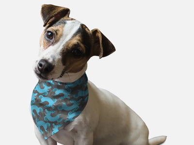 Go For Walk? Dog Bandana by BanDoggies - Pets Perfect