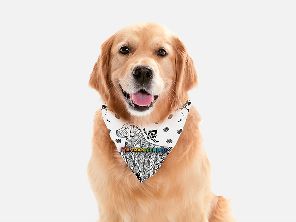 Elegance Dog Bandana by BanDoggies - Pets Perfect