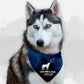 BanDoggie Derp! Dog Bandana - Soft Microfiber, Made in USA