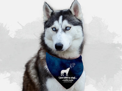 BanDoggie Derp! Dog Bandana - Soft Microfiber, Made in USA - Pets Perfect