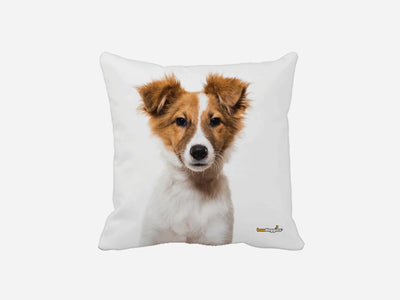 Australian Shepard Puppy Throw Pillow - Pets Perfect