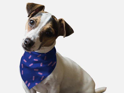 BanDoggie Sprinkles Please! Dog Bandana - Soft Microfiber Pet Bandana, Made in USA - Pets Perfect