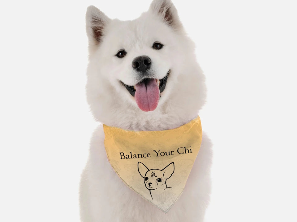 BanDoggie Balance Your Chi Dog Bandana - Soft Microfiber, Made in USA - Pets Perfect