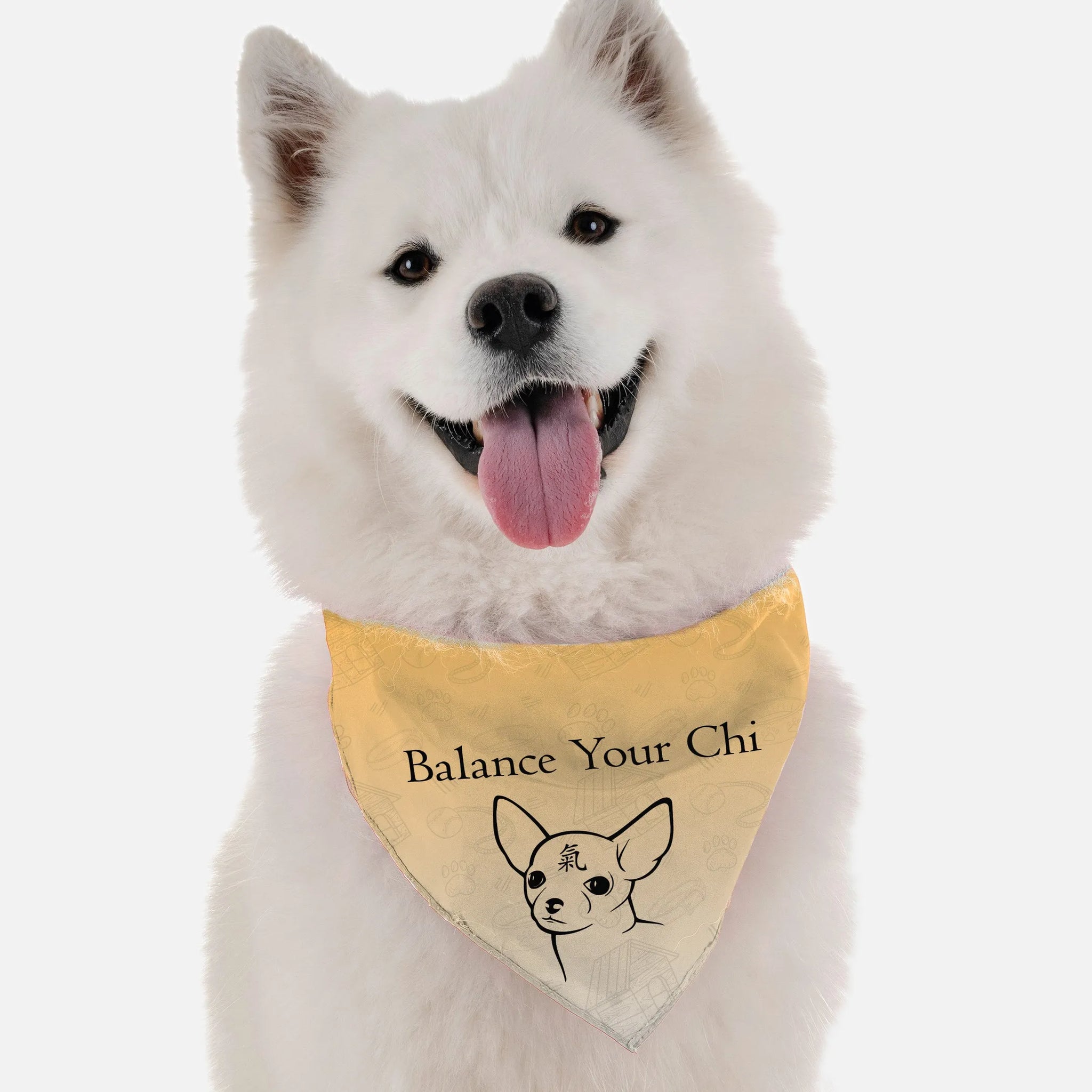 Balance Your Chi