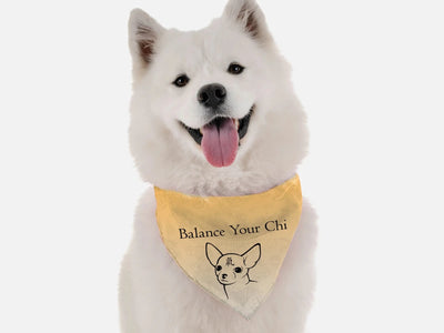 BanDoggie Balance Your Chi Dog Bandana - Soft Microfiber, Made in USA - Pets Perfect