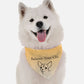 BanDoggie Balance Your Chi Dog Bandana - Soft Microfiber, Made in USA