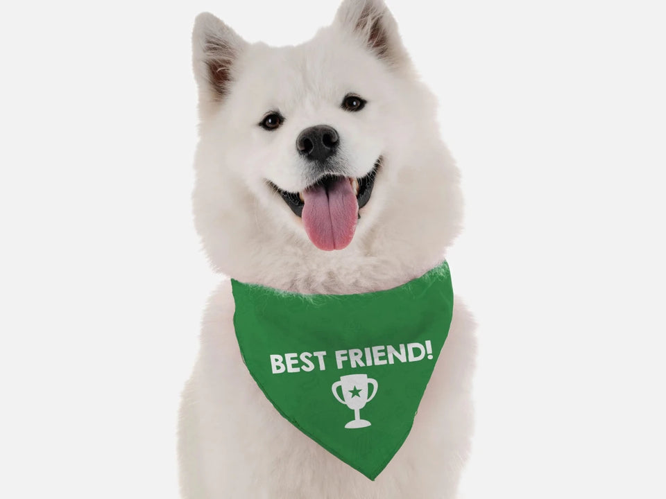 Best Friend Catchphrase Dog Bandana by BanDoggie - Pets Perfect