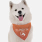 I'll Pinch Ya Dog Bandana by BanDoggie
