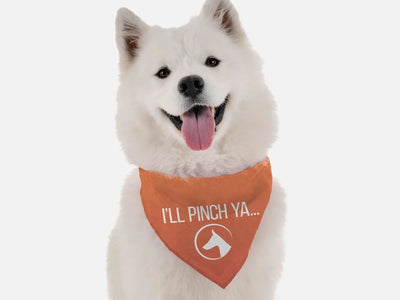 I'll Pinch Ya Dog Bandana by BanDoggie - Pets Perfect