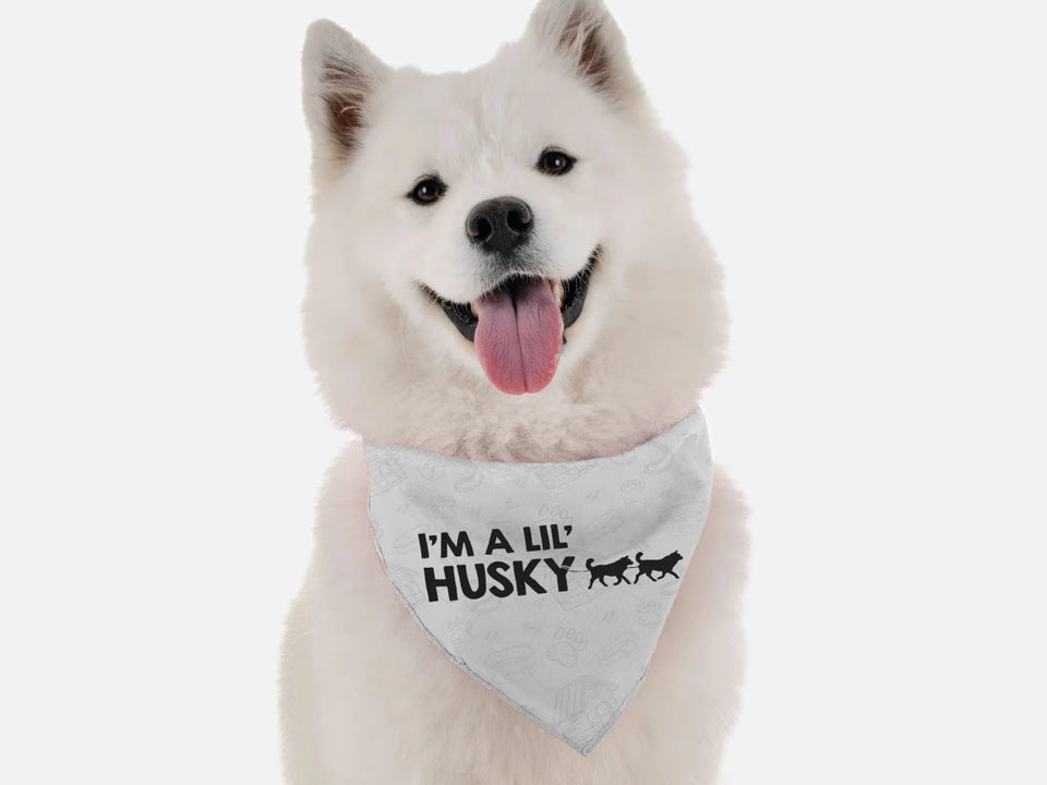 I'm a Lil' Husky Dog Bandana by BanDoggie - Pets Perfect