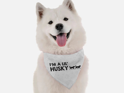I'm a Lil' Husky Dog Bandana by BanDoggie - Pets Perfect