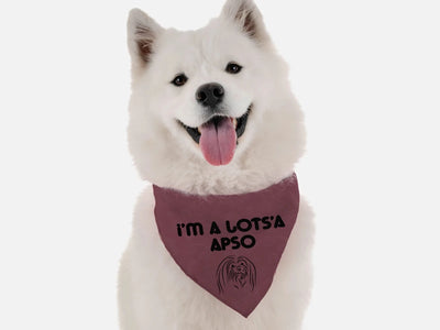 BanDoggie I'm a Lots'a Apso Dog Bandana - Funny Microfiber Pet Bandana, Made in USA - Pets Perfect