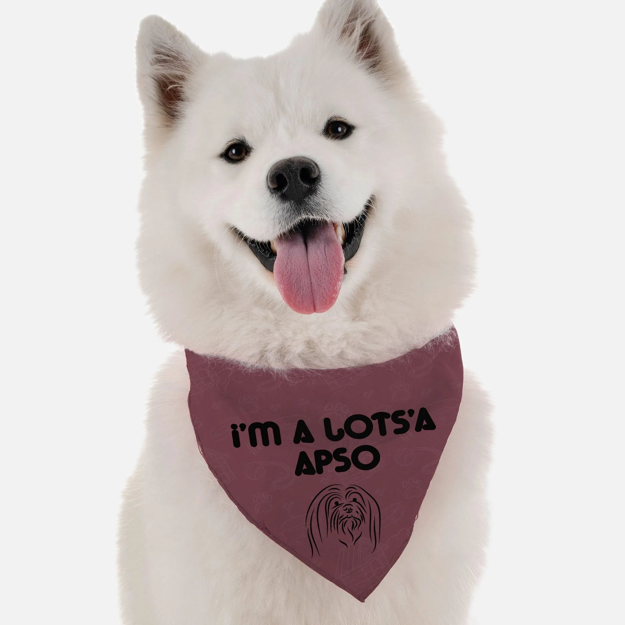 I'm a Lots'a Apso