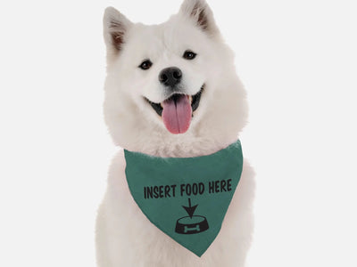 BanDoggie Insert Dog Food Here Dog Bandana - Funny Microfiber Pet Bandana, USA Made - Pets Perfect