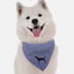 Nothing but a Hound Dog Bandana by BanDoggie