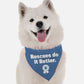BanDoggie Rescues Do It Better Dog Bandana - Microfiber, Made in USA