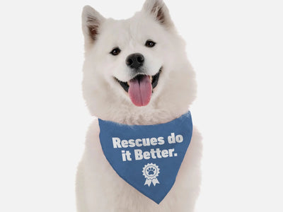 BanDoggie Rescues Do It Better Dog Bandana - Microfiber, Made in USA - Pets Perfect