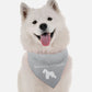 Schnazzey Schnauzer Dog Bandana by BanDoggie