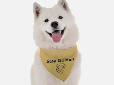 BanDoggie Stay Golden Funny Dog Bandana - Pets Perfect