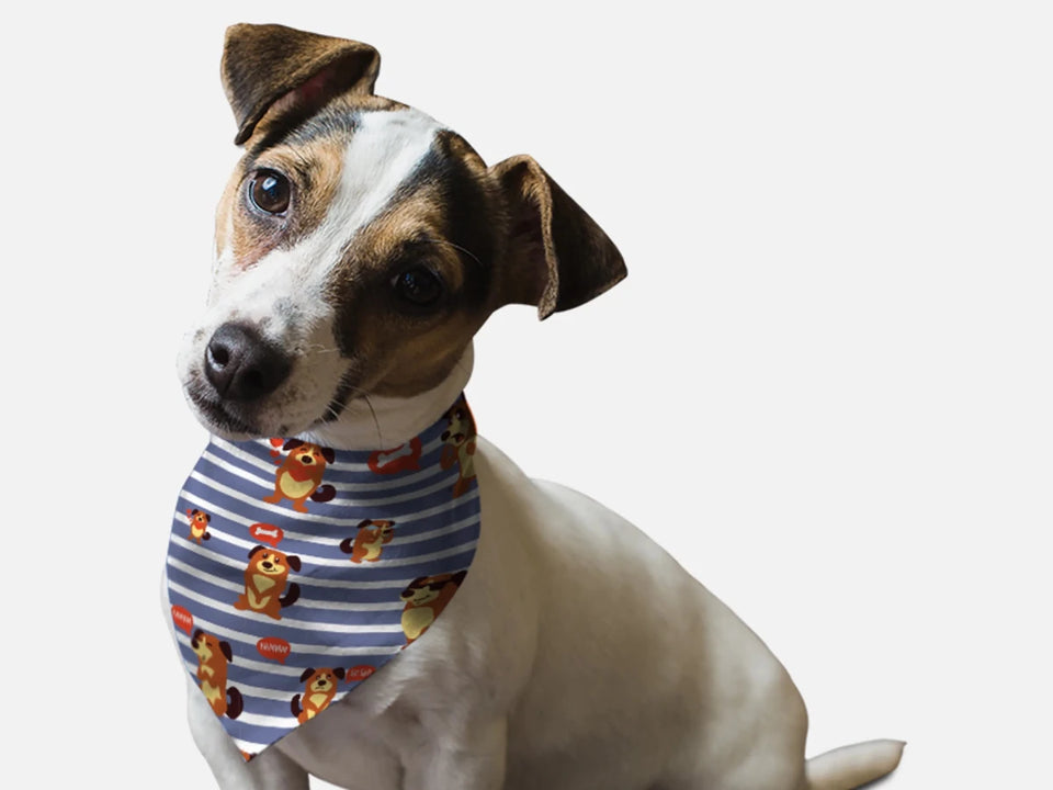 Summer '07 Dog Bandana by BanDoggie - Pets Perfect