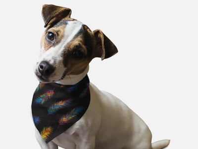 Fancy Feathers Dog Bandana by BanDoggie - Pets Perfect