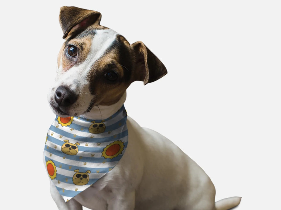 BanDoggie Hot Dogs Summer Dog Bandana - Soft Microfiber, Made in USA - Pets Perfect