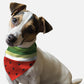 Sweet Slice Dog Bandana by BanDoggie