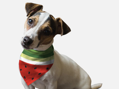 Sweet Slice Dog Bandana by BanDoggie - Pets Perfect