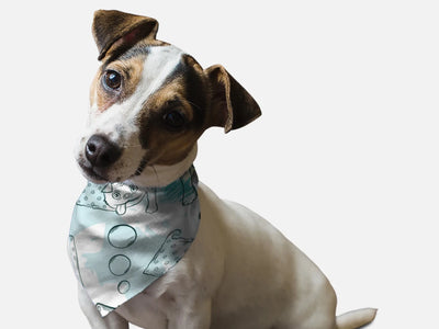 Tasty Dog Treats Summer Dog Bandana by BanDoggie - Pets Perfect