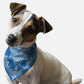 Blue Paisley Dog Bandana | BanDoggie
