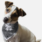 Grey Paisley Dog Bandana by BanDoggie