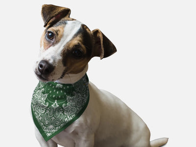 BanDoggie Hunter Green Paisley Western Dog Bandana - Pets Perfect