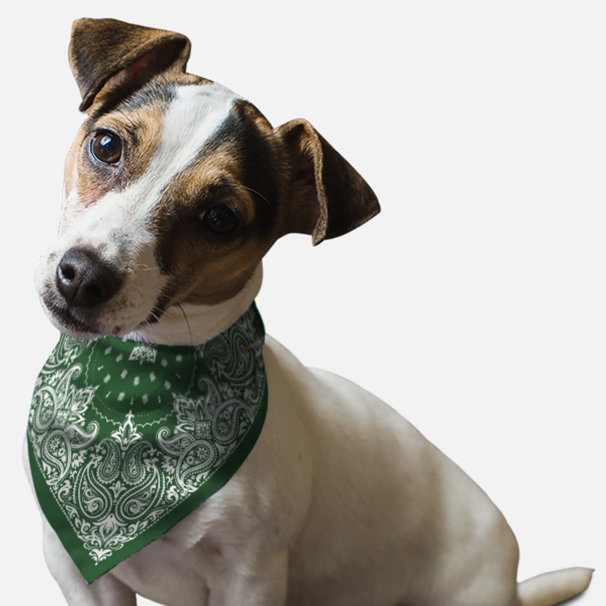 Hunter Green Paisley