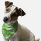 Kelly Green Paisley Dog Bandana by BanDoggie