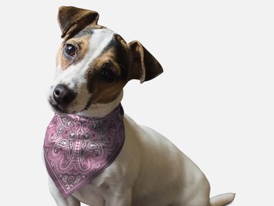 BanDoggie Lilac Paisley Western Dog Bandana - Soft Microfiber, Made in USA - Pets Perfect