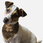 BanDoggie Sand Paisley Western Dog Bandana - Soft Microfiber, Made in USA