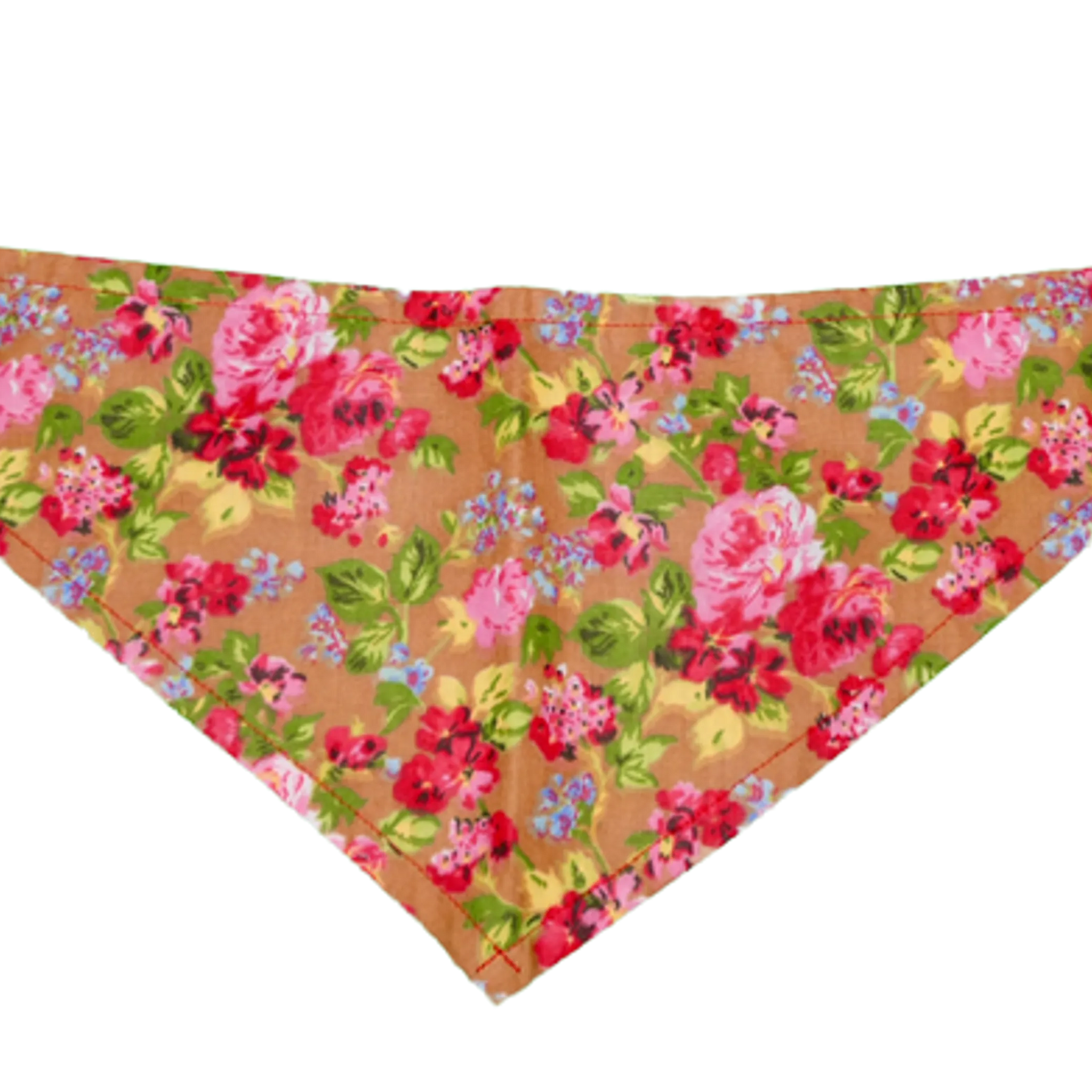 GG129FB Sand|Pets Ribbons