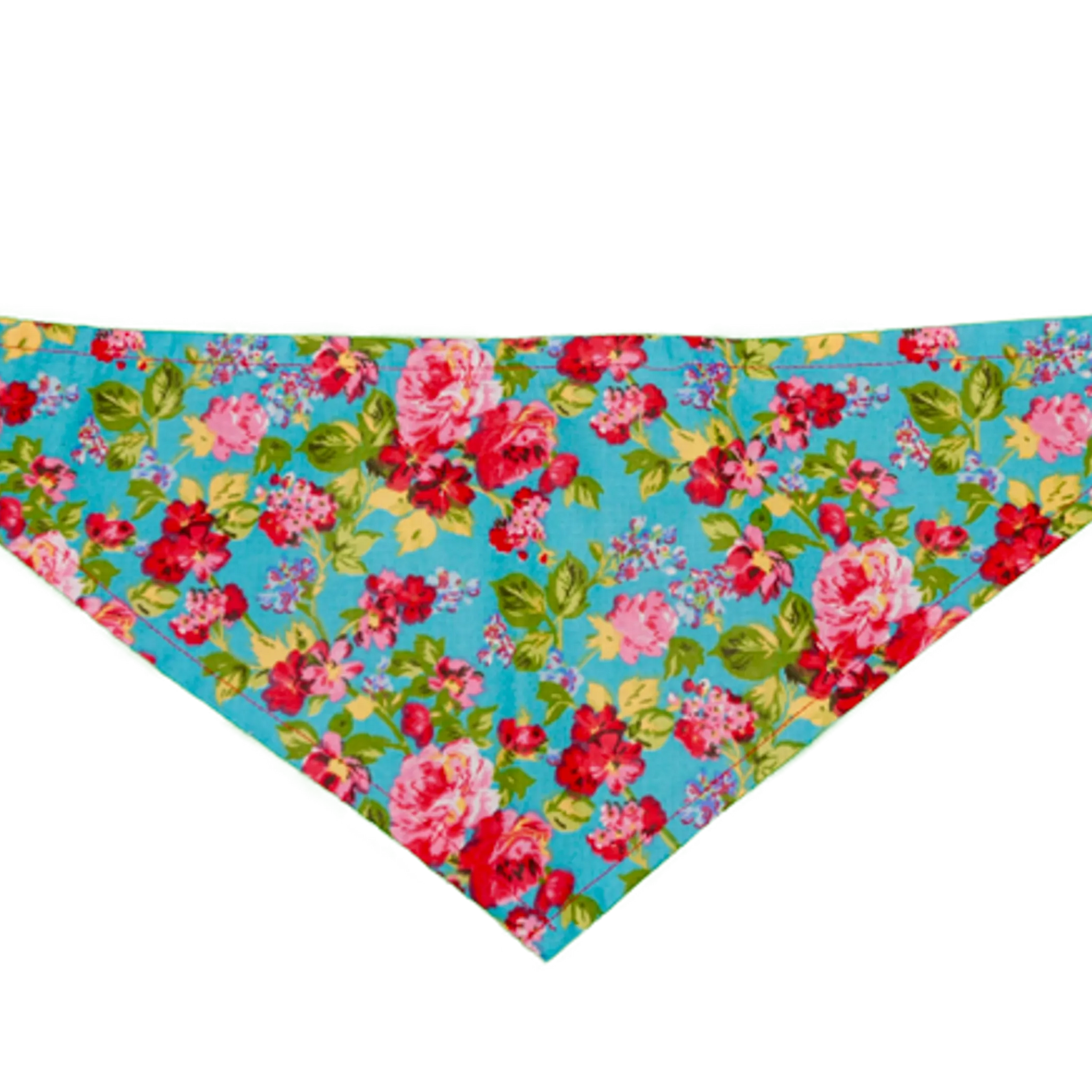 GG129FB Marine|Pets Ribbons
