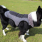 Ultimate Warmth Reflective Dog Coat - Winter Safety Jacket with Fur Collar - Pets Perfect