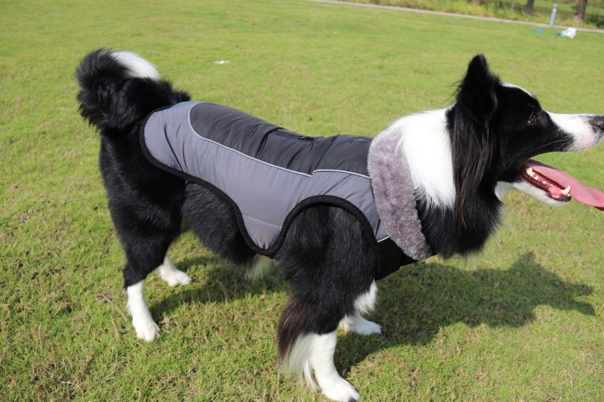 Ultimate Warmth Reflective Dog Coat - Winter Safety Jacket with Fur Collar - Pets Perfect