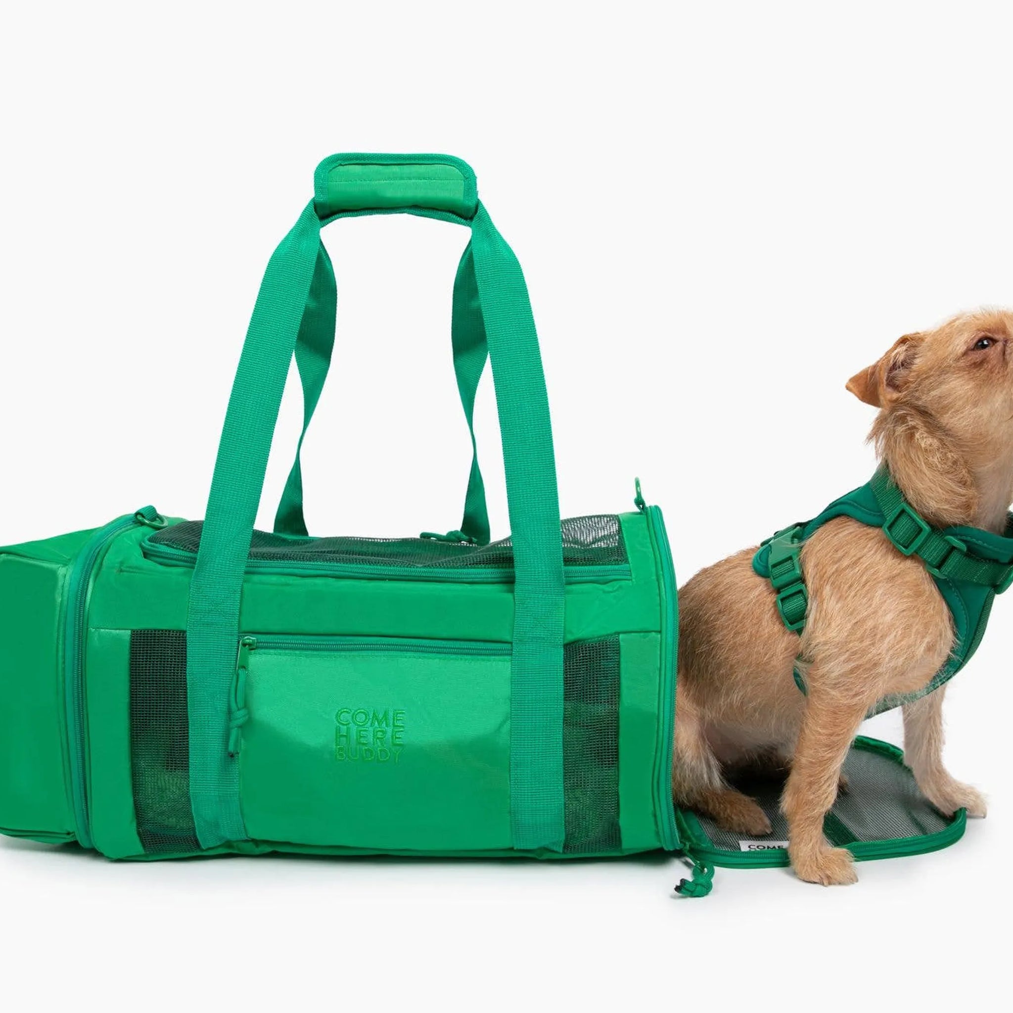 Travel Buddy  - Pet Carrier