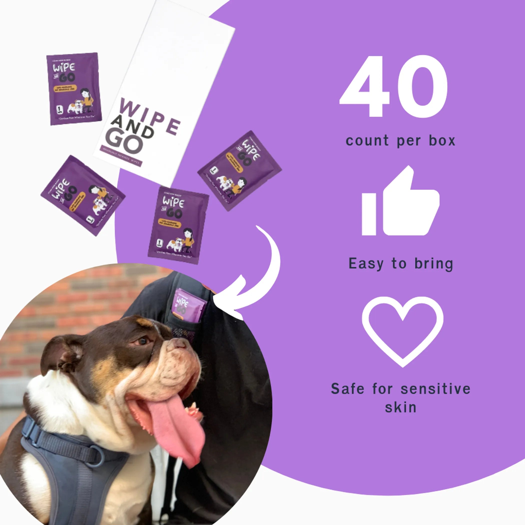 Wipe and Go Pet Wipes