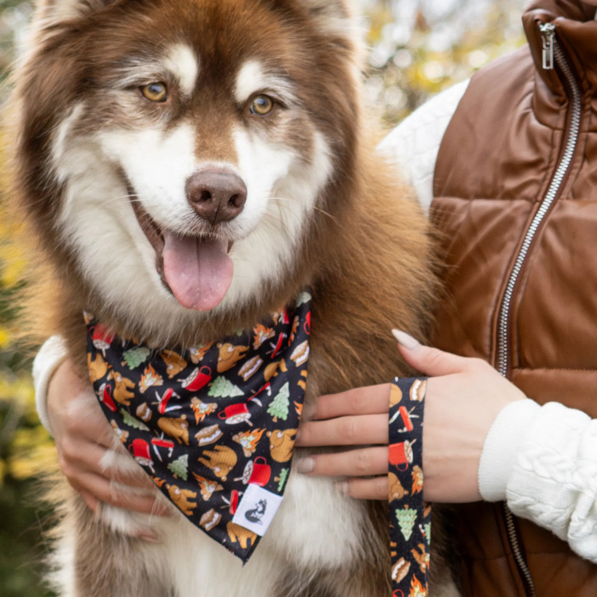 Woodland Tales Dog Bandana & Matching Keychain